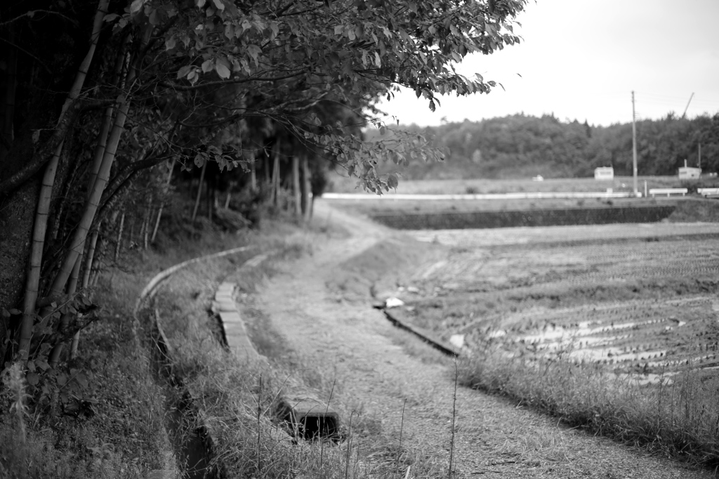 田舎道