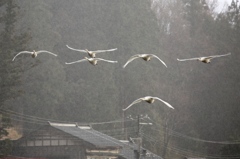 雨の中の帰投