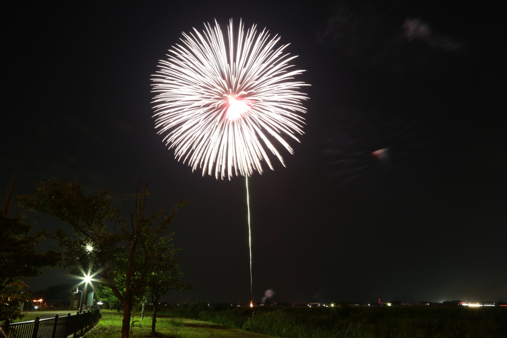 公園と花火