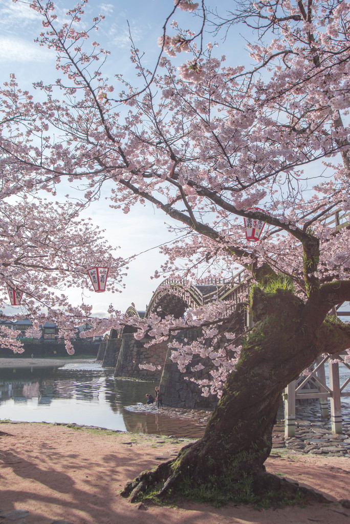 錦帯橋