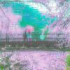 桜雨