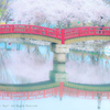 春爛漫
