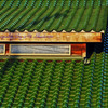 ZPG-284