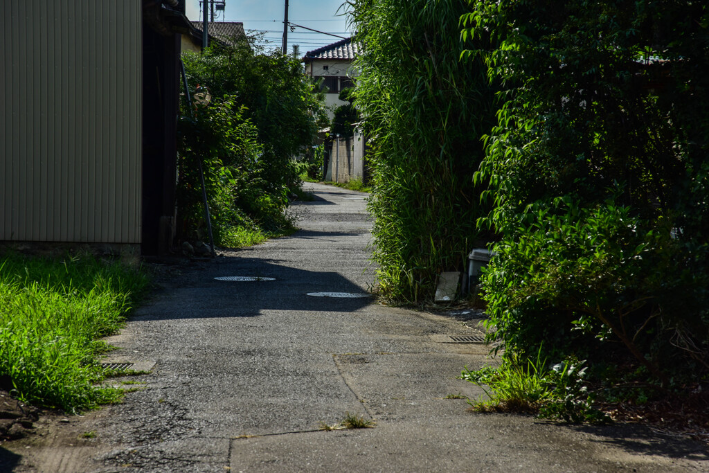 中山道　（SOC-654)