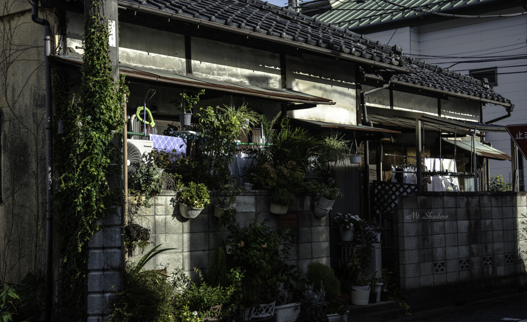 住人有り　（SOC-024）
