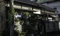 住人有り　（SOC-024）