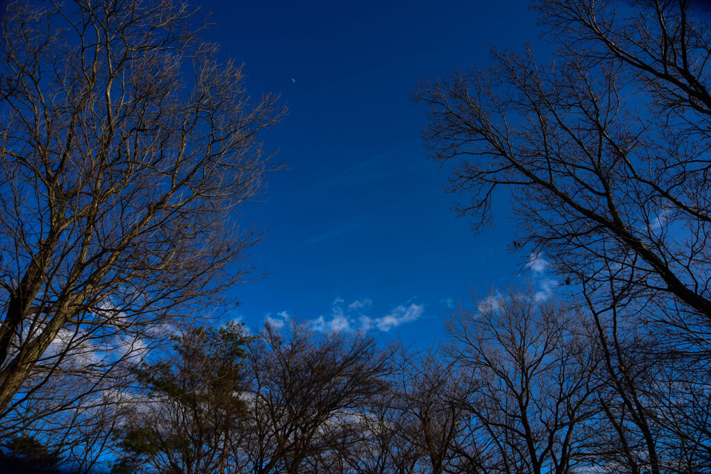 スカッ晴（パ）レ　　SOC-740.