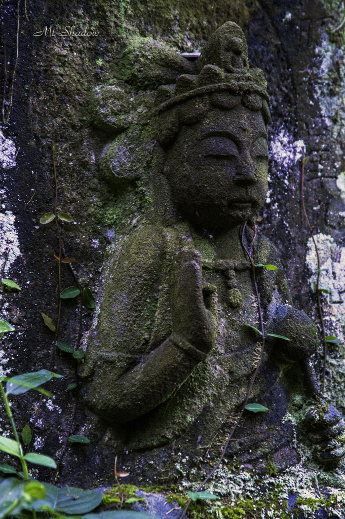 APE-265.