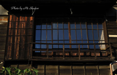 ZPG-070