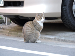 にまにま