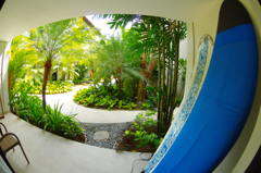 Island Surf