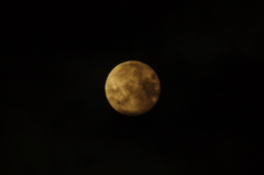 PTX32466
