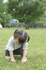 夏の芝が大好き