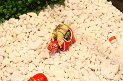 ちょこんと。