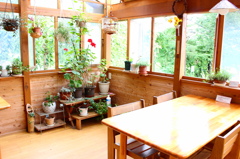 植物のあるコテージ