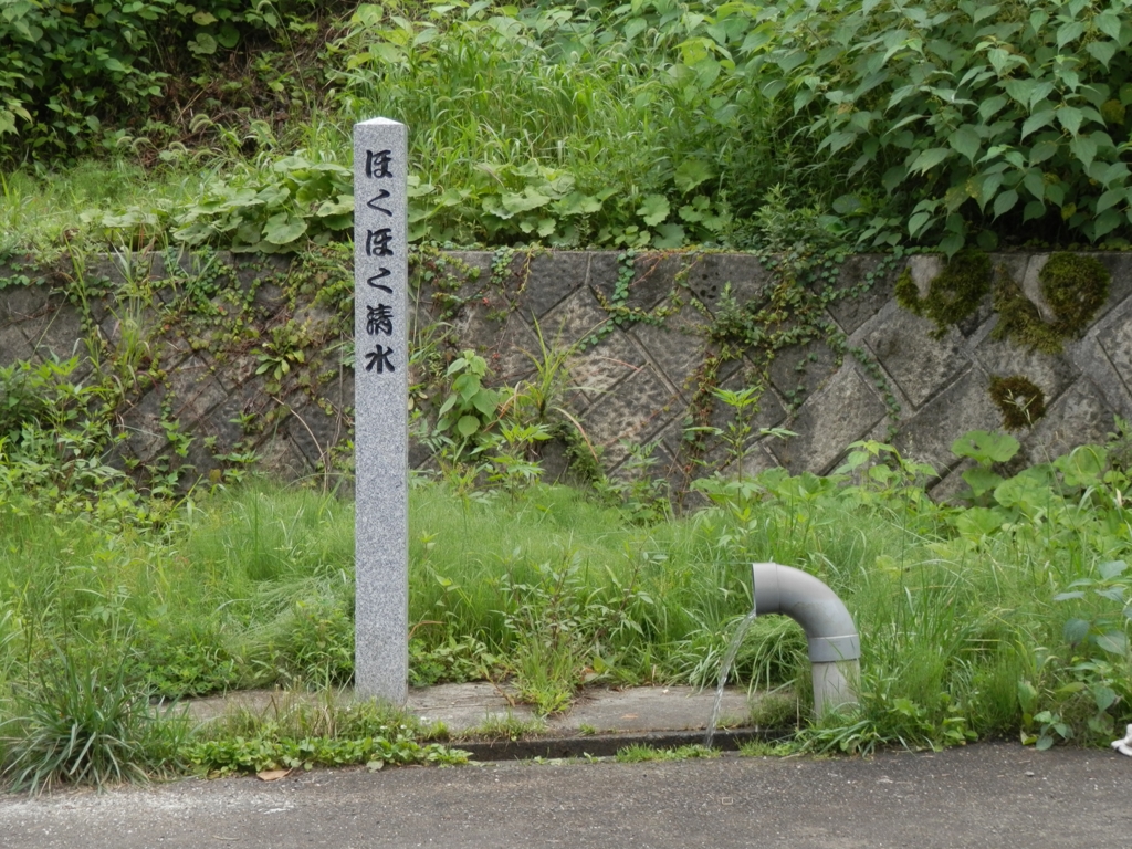 ほくほく大島駅前にある「ほくほく清水」