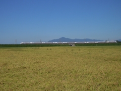 北越急行681系「はくたか」