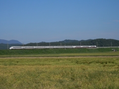 JR西日本681系・北越急行683系「はくたか」
