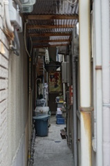 路地裏の主