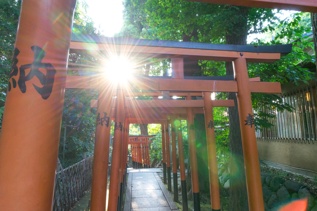 上野公園花園稲荷