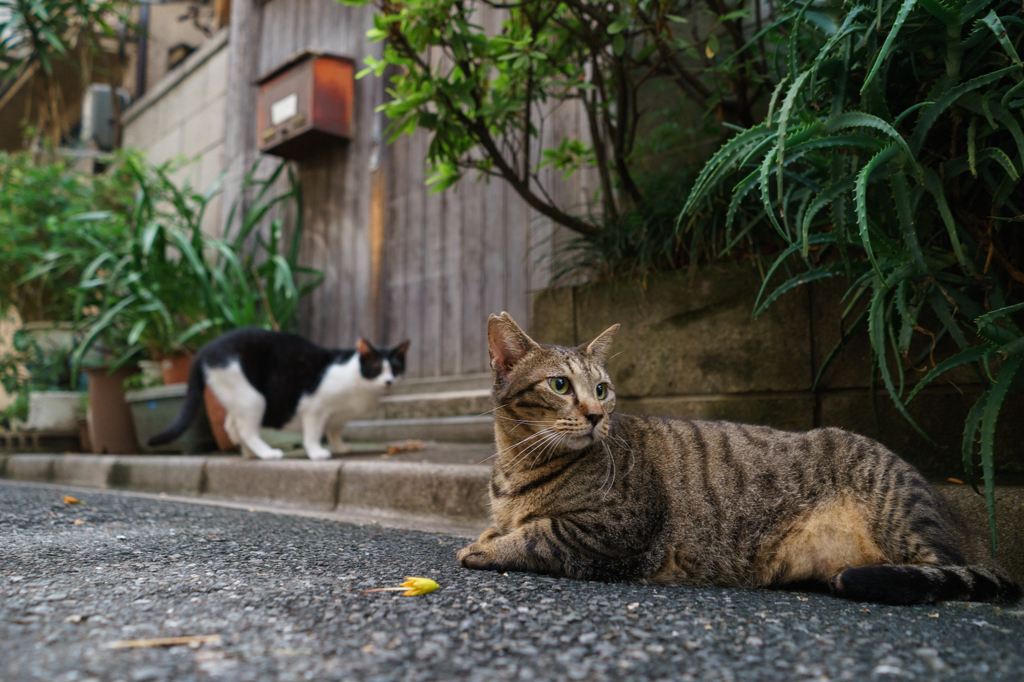 路地のたまり場