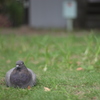 一休み