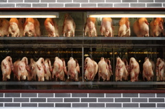 The mass consumption