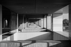 The Structure