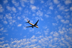 飛行機と雲