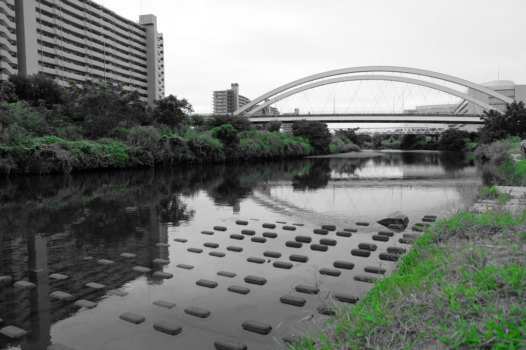 鶴見川と鴨池大橋