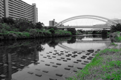 鶴見川と鴨池大橋