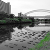 鶴見川と鴨池大橋