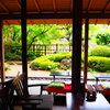 お宿玉樹の庭園