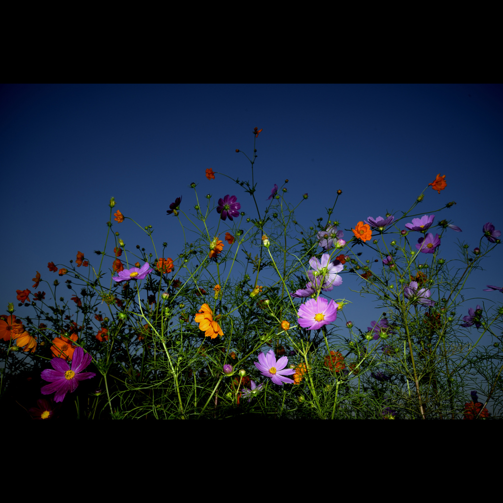 Autumn　sence　Ⅲ