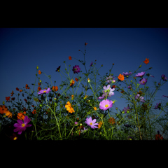 Autumn　sence　Ⅲ