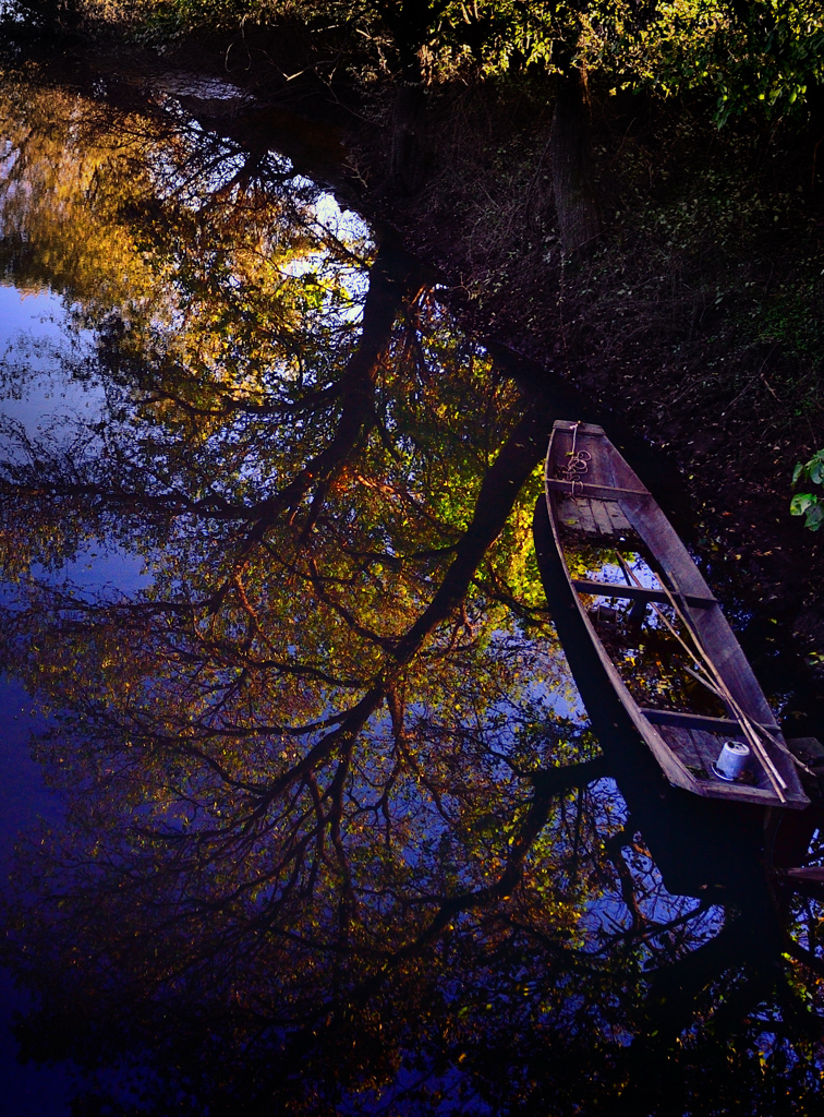 Autumn reflection