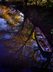 Autumn reflection