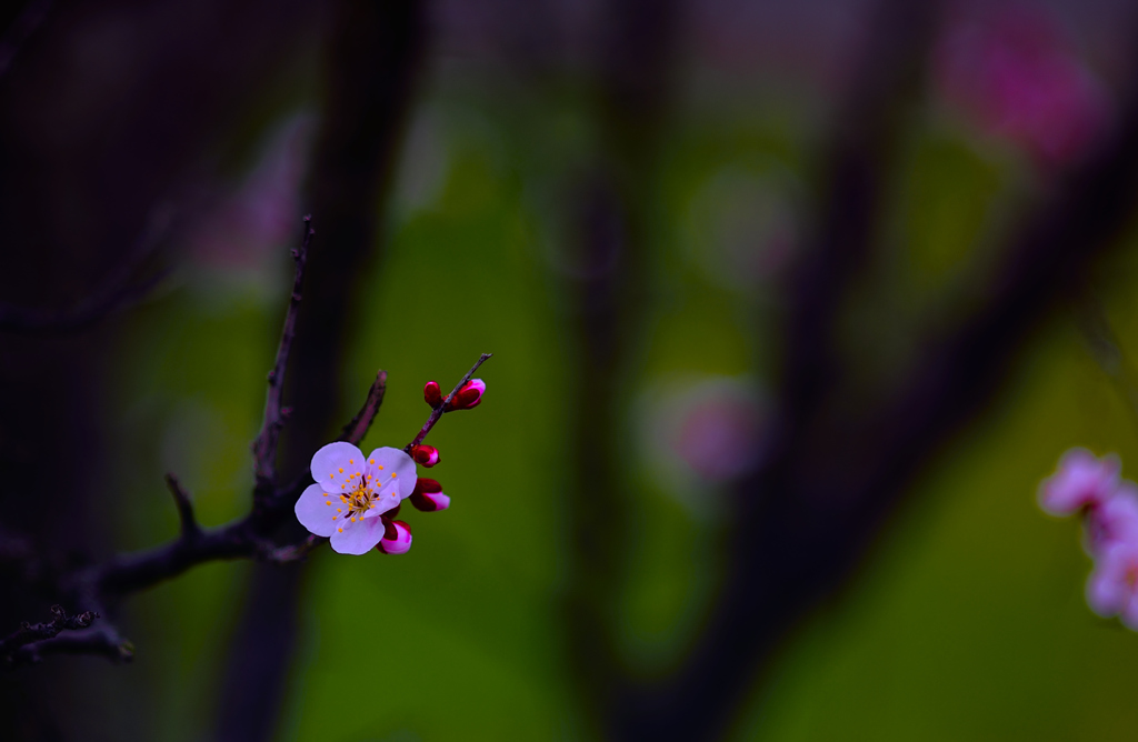 Serenity