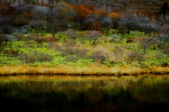 Autumn lake