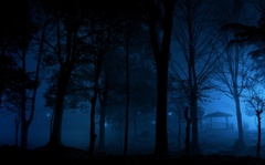 Cold mist night