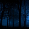 Cold mist night