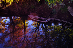 Autumn reflection ⅱ
