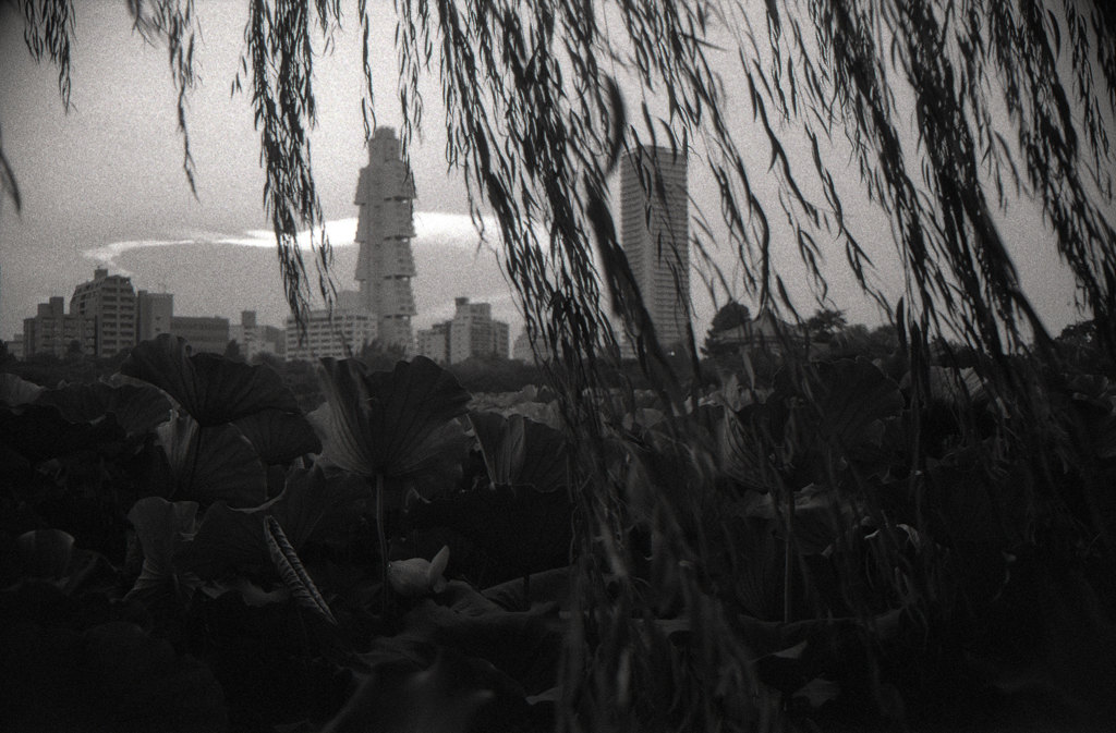 Tokyo e