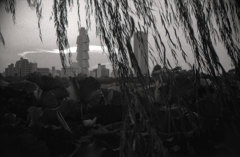 Tokyo e