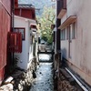 IMG_5849