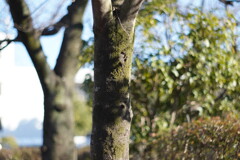 DSC01479