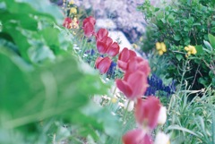 20200408