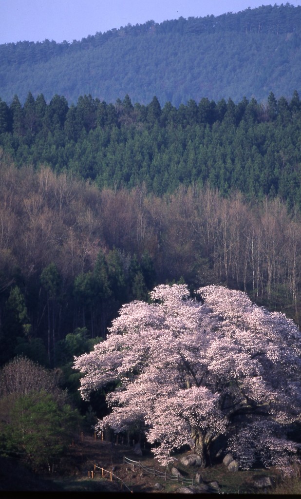 山々に囲まれて