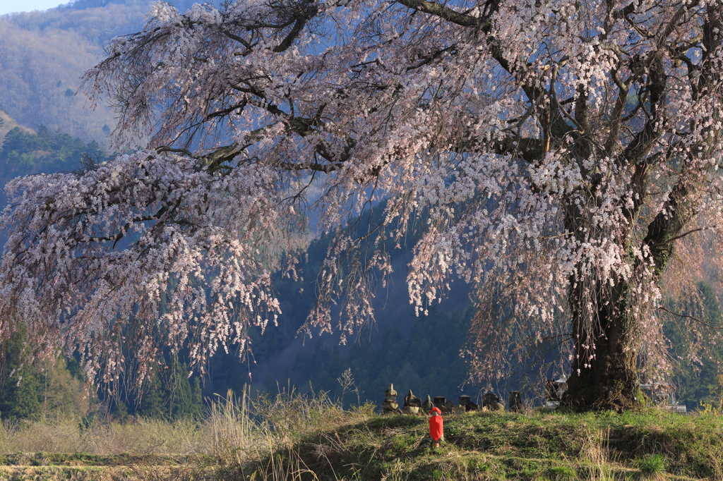 春の山里
