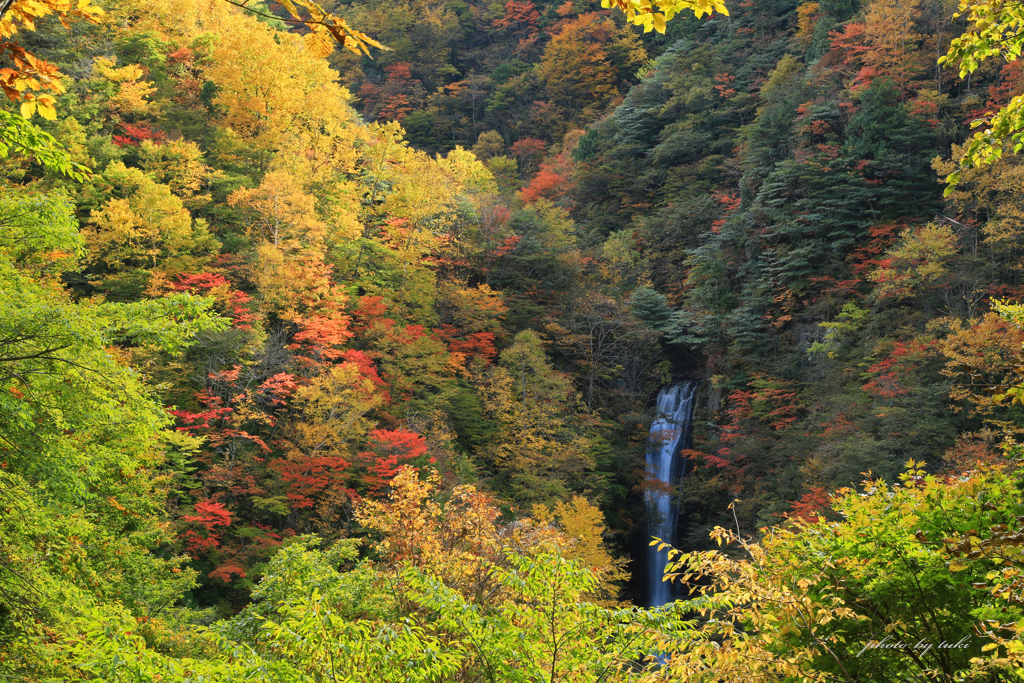 日暮の滝～紅葉編～